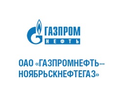 Ннг ноябрьск. Газпромнефть-ННГГФ. ООО «Газпромнефть-Ноябрьскнефтегазгеофизика»..